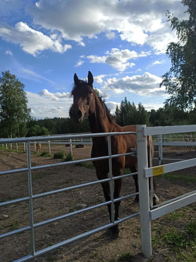 Bb Polle - With The Horse View Apartment Mikkeli Exterior photo